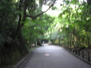 城山遊歩道